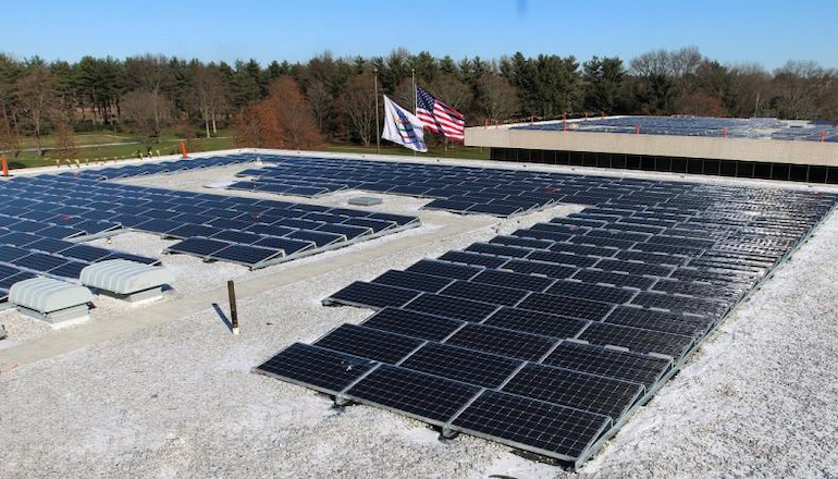 Renewables to quench PepsiCo thirst for power Renewables to quench PepsiCo thirst for power