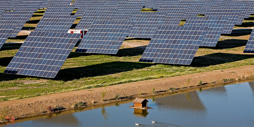 Acciona breaks ground on 176MWp solar plant Acciona breaks ground on 176MWp solar plant