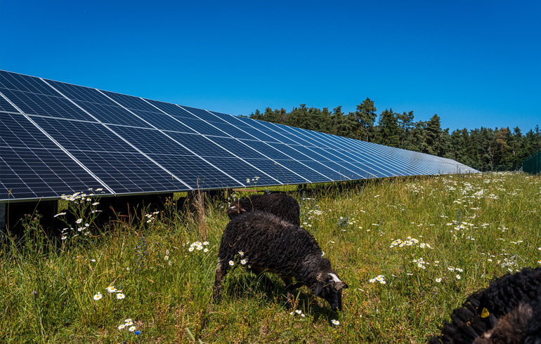 ABO Energy wins tariffs for 50MW solar trio