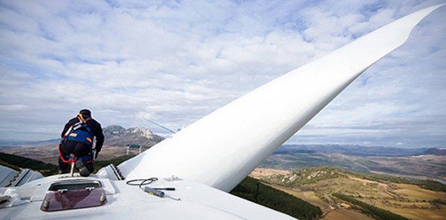 Green light for Wyoming giant Wyoming wind in eagle probe