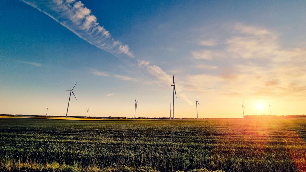 Eurowind signs hybrid cPPA with Rockwool Eurowind signs hybrid cPPA with Rockwool