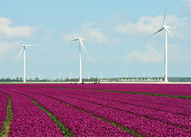 Senvion renews Dutch service