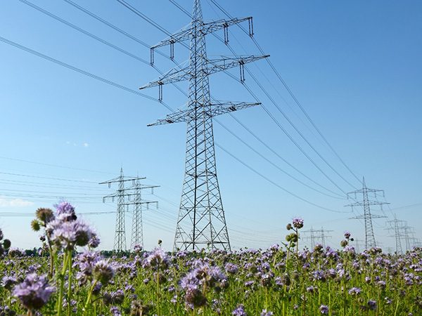 Body targets Irish ‘electrical revolution’ Body targets Irish ‘electrical revolution'