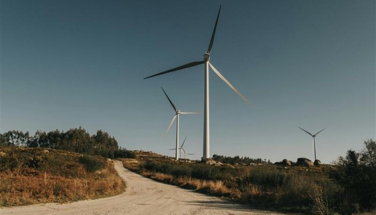 Qualitas Energy wins 126MW in German tender Qualitas Energy wins 126MW in German tender
