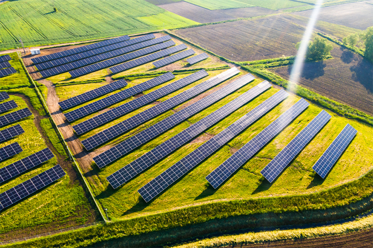 Verdian acquires Sicily agrivoltaic solar portfolio Verdian acquires Sicily agrivoltaic solar portfolio
