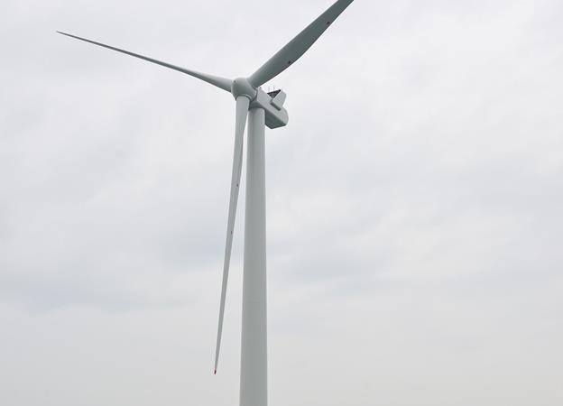 Rampion reaches full potential