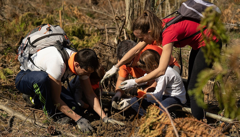 Siemens Gamesa unveils reforestation scheme Siemens Gamesa unveils reforestation scheme
