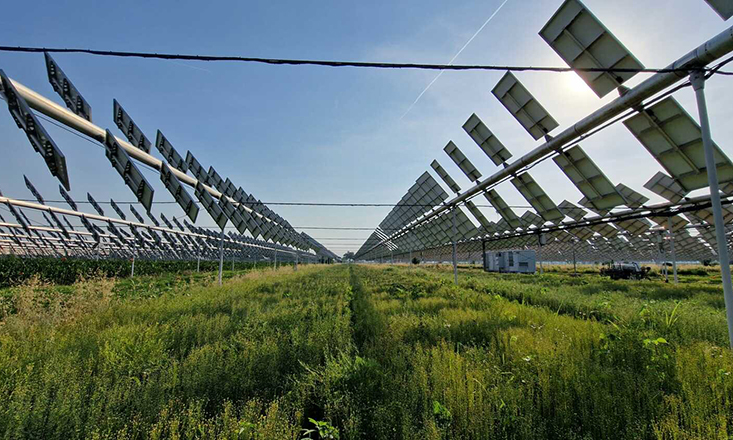 ‘Agri-PV could meet UK electricity demand fourfold’ 'Agri-PV could meet UK electricity demand fourfold'