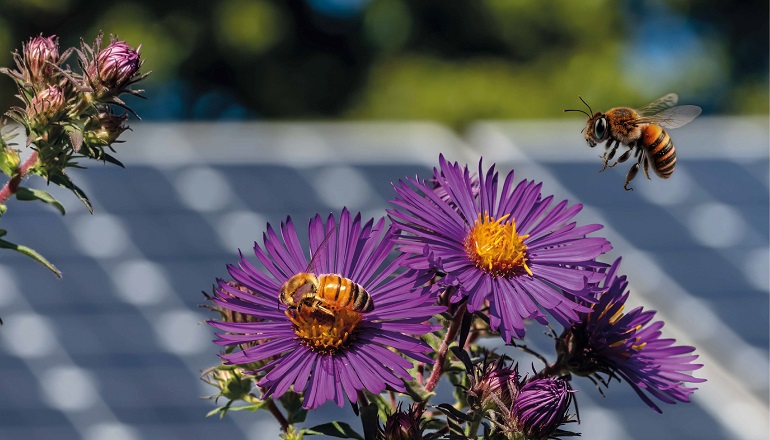 Renantis kicks off third agrivoltaic crowdfund Renantis kicks off third agrivoltaic crowdfund