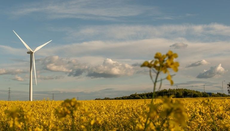 Wind hits new generation record in Britain