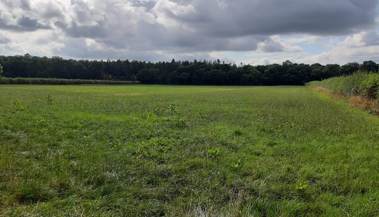 RES submits application for 50MW UK solar RES submits application for 50MW UK solar