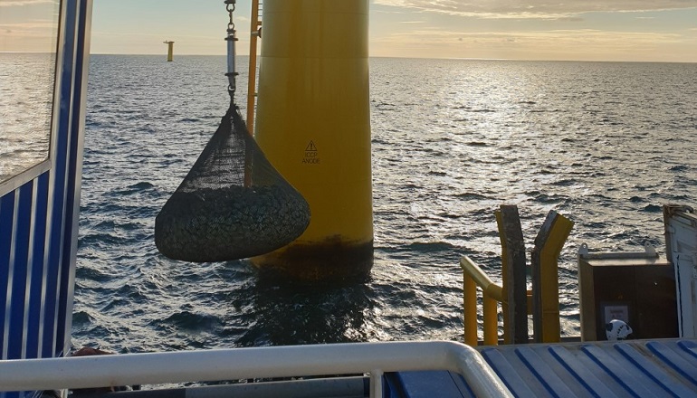 Ridgeway supplies cable protection to Saint Nazaire