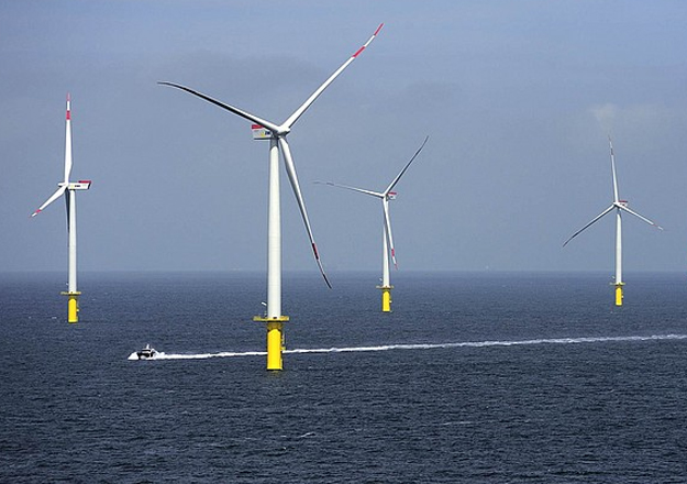 ‘Extend life of offshore wind farms to 35 years’ Germany to auction two North Sea wind areas
