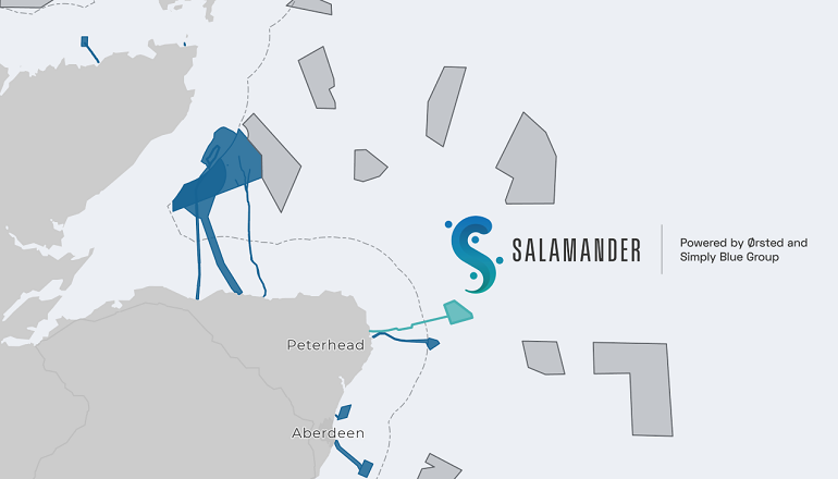 Salamander team wins Scottish 100MW floater lease
