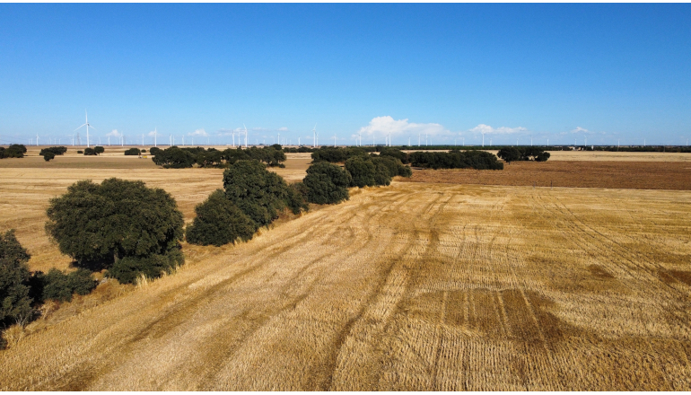 Nadara starts 400MW Spanish hybrid build Nadara starts 400MW Spanish hybrid build