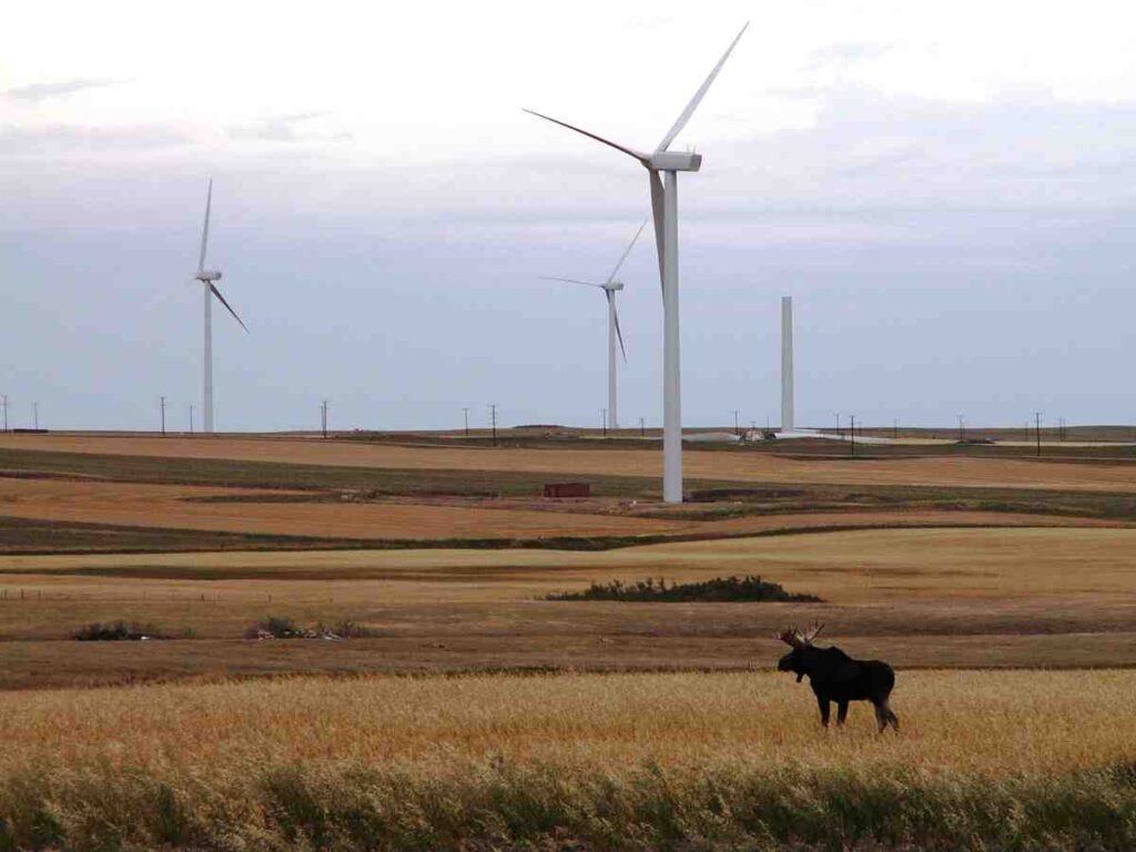 Saskatchewan targets 200MW