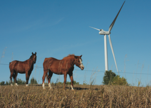 AMEC on point for Black Oak Getty