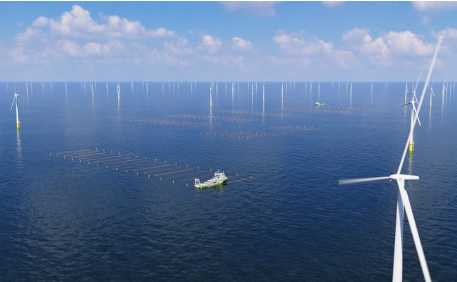 Amazon funds offshore wind seaweed scheme Amazon funds offshore wind seaweed scheme