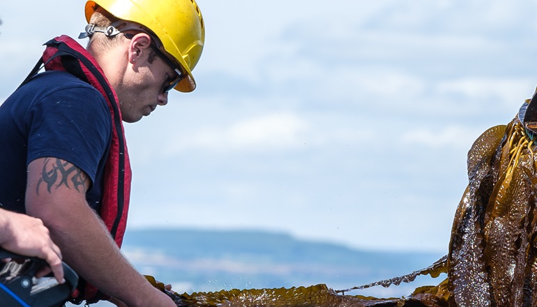 RWE picks offshore co-use competition winners RWE picks offshore co-use competition winners