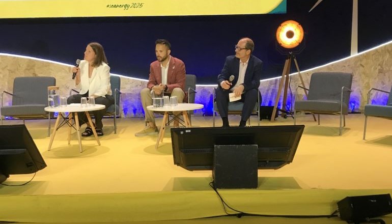 Seanergy: Spain urged to invest in offshore wind Seanergy: Spain urged to invest in offshore wind