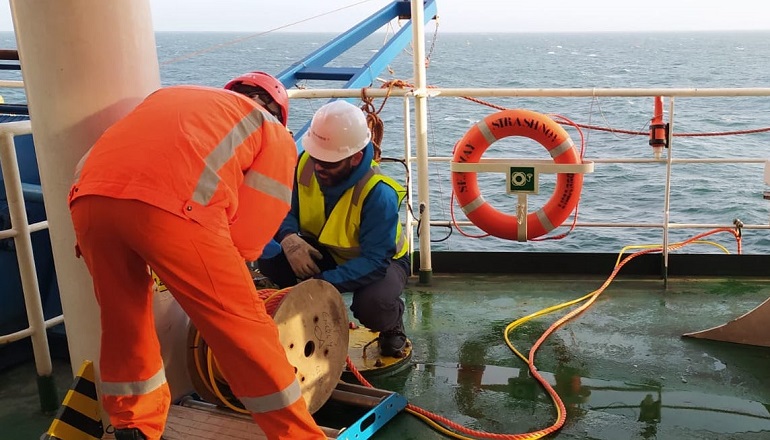 Marine mammal safety top priority at Triton Knoll