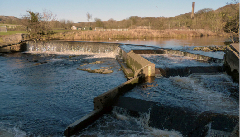 Settle Hydro crowdfund campaign targets fish safety