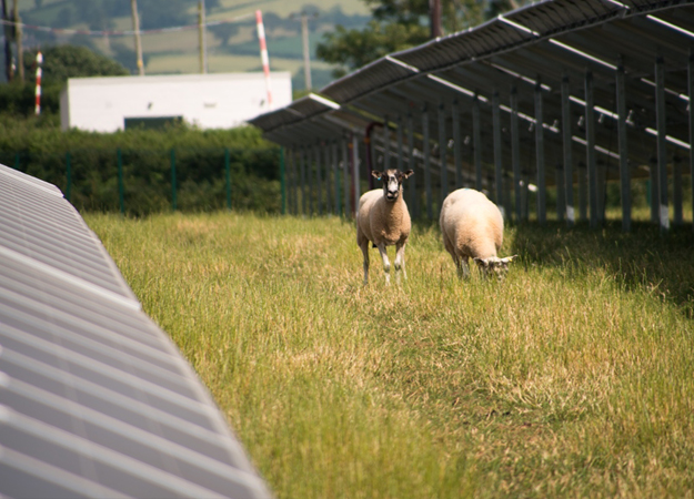 UK poll reveals huge public backing for renewables