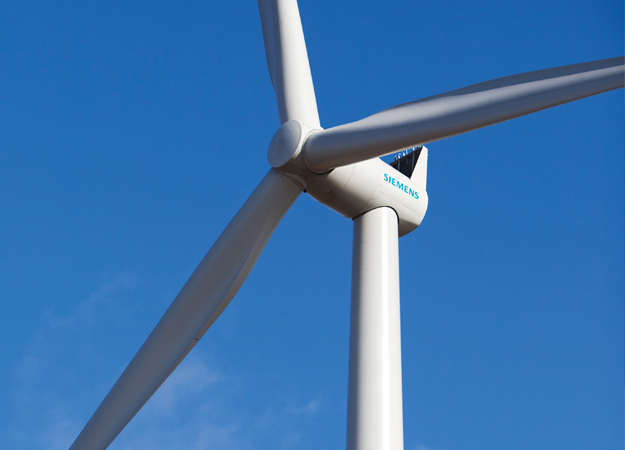 NTR picks 19MW Garden County flower