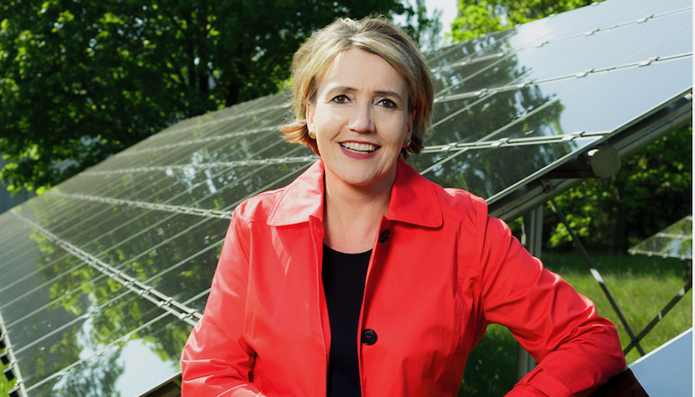 German renewables group rejects energy windfall tax Germany 'should use EU presidency to boost Green Deal'