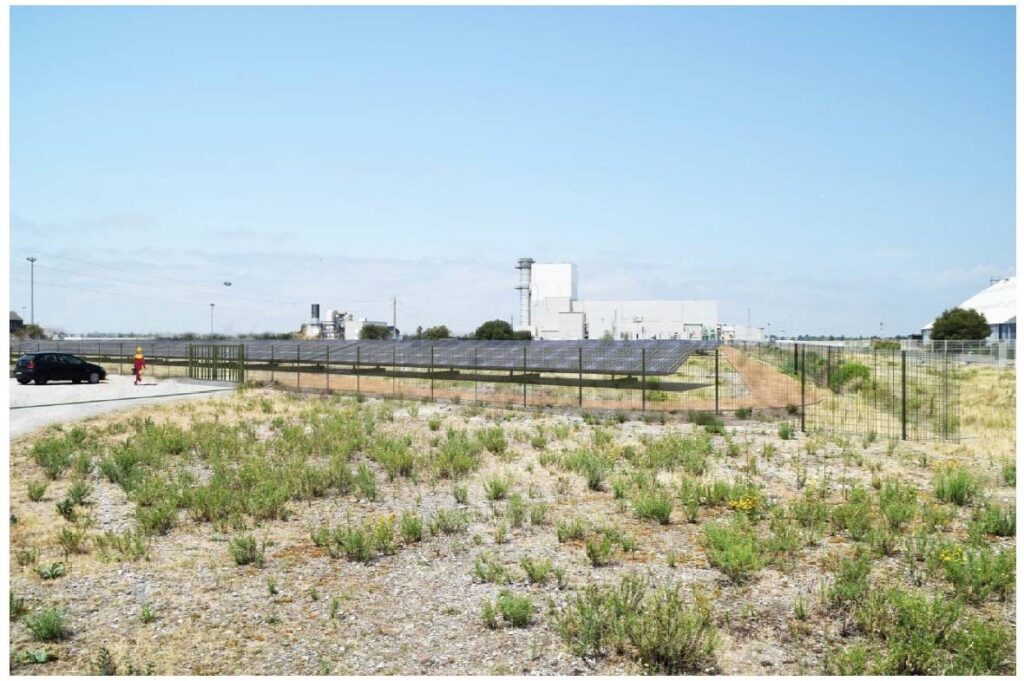 Engie Green picks up French solar tender