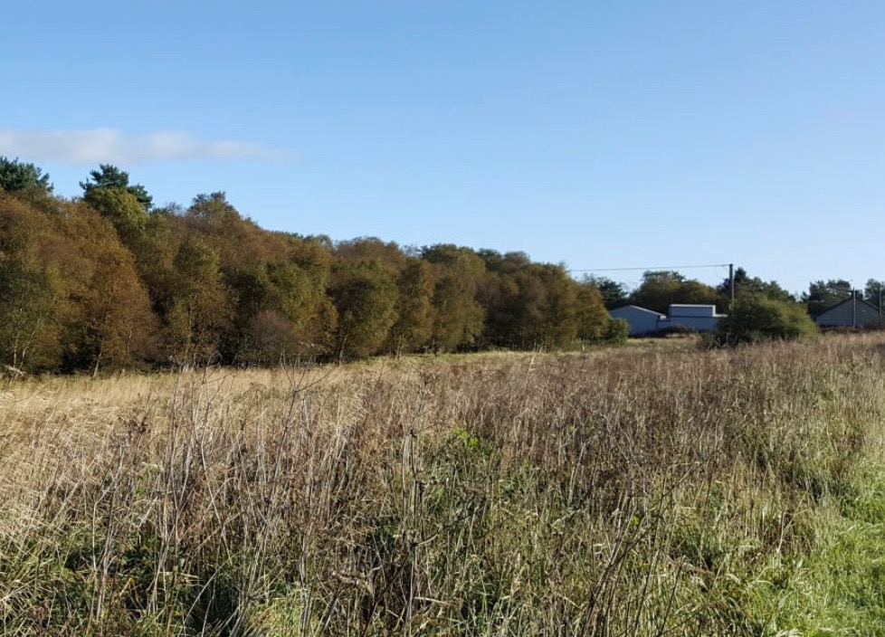 Muirhall savours Drumcross delight
