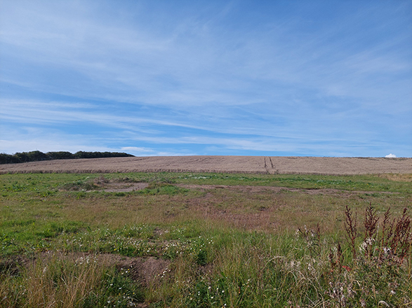 Enviromena given nod for Durham solar farm