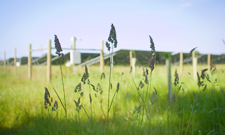 Cero secures £200m for UK solar-BESS portfolio