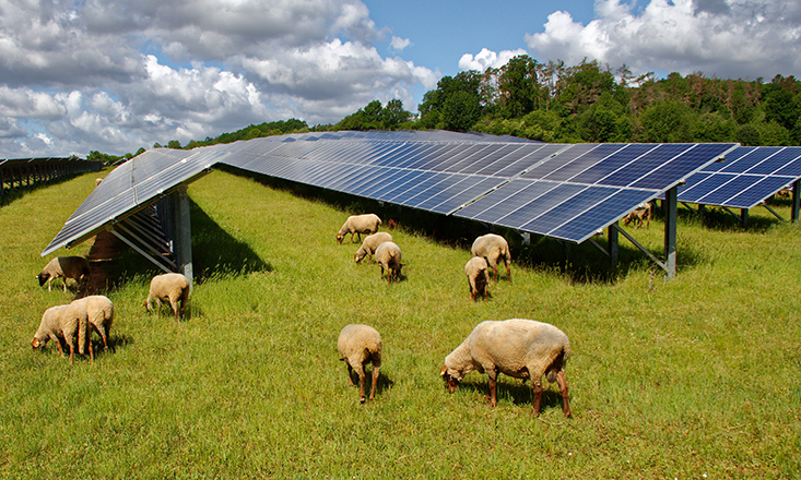 UK solar-BESS project given nod UK solar-BESS project given nod