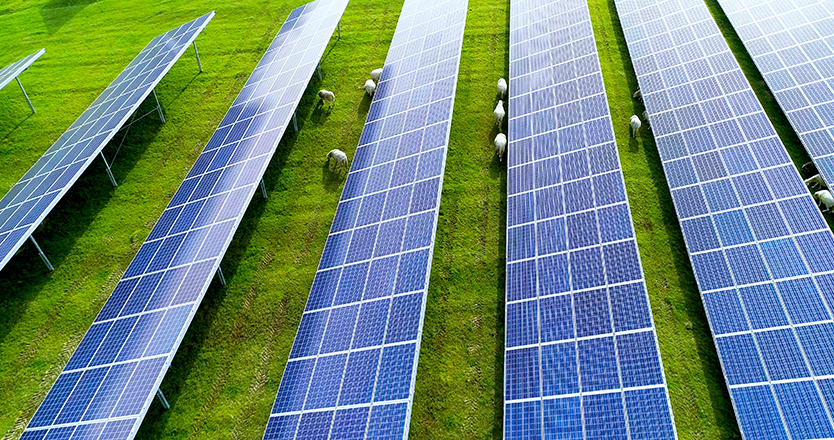 UK planners to begin exam of 500MW solar project UK planners to begin exam of 500MW solar project