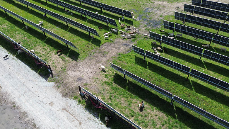 Doral picks Bechtel for Mammoth task Doral picks Bechtel for Mammoth task
