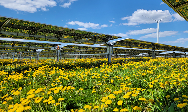 ILTE to finance 10 Green Genius solar parks