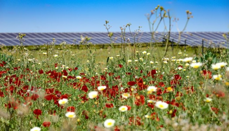 BayWa r.e. sells 121MWp UK solar duo BayWa r.e. sells 121MWp UK solar duo