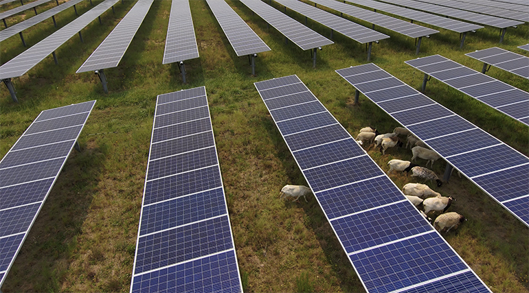 Virginia green lights 764MW of solar sites Virginia green lights 764MW of solar sites