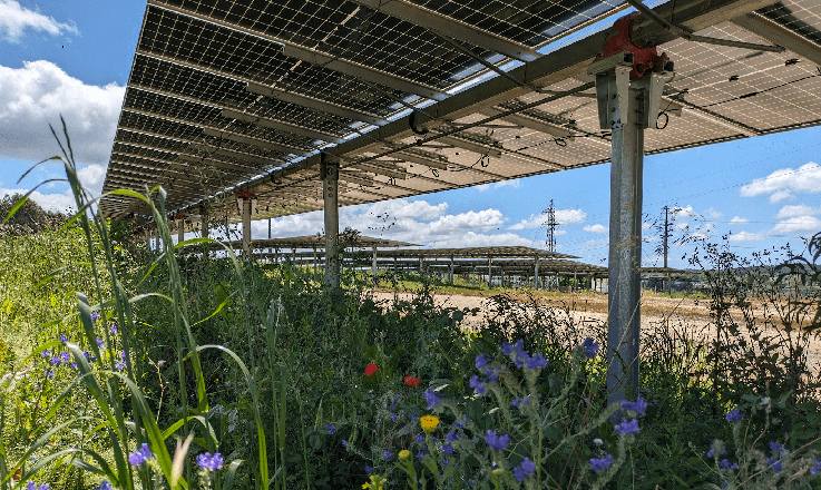 Aura Power secures financing for 50MW solar farm