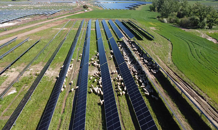 Solaria nets financing for 175MW Spanish PV project Solaria nets financing for 175MW Spanish PV project
