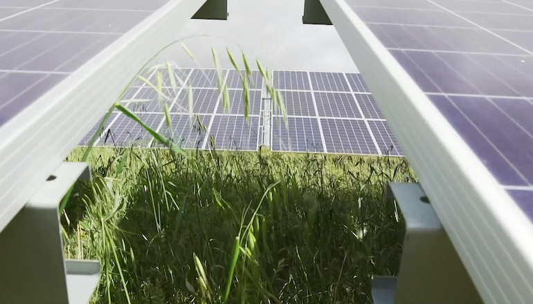 ScottishPower to acquire 800MW UK PV ScottishPower to acquire 800MW UK PV
