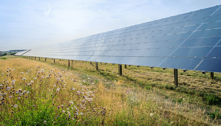 RWE acquires Polish solar developer RWE