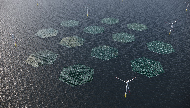 SolarDuck forms subsea advisory board Seanergy: Italian offshore solar 'a 2030s bet'