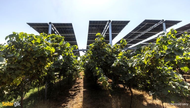 Solargik deploys 85MW of solar in Italy Solargik deploys 85MW of solar in Italy