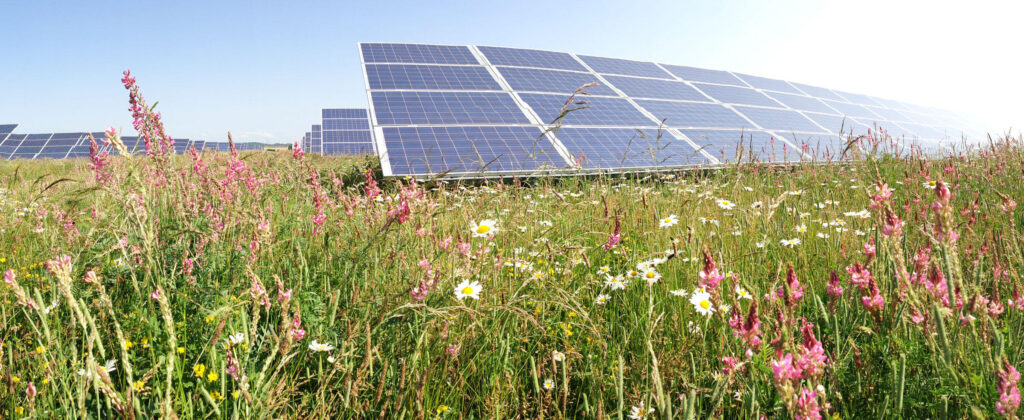 JBM Solar submits Roundhill solar farm proposal JBM Solar submits Roundhill solar farm proposal
