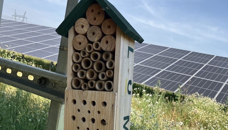 Hungarian PV farm sets biodiversity standard Hungarian PV farm sets biodiversity standard