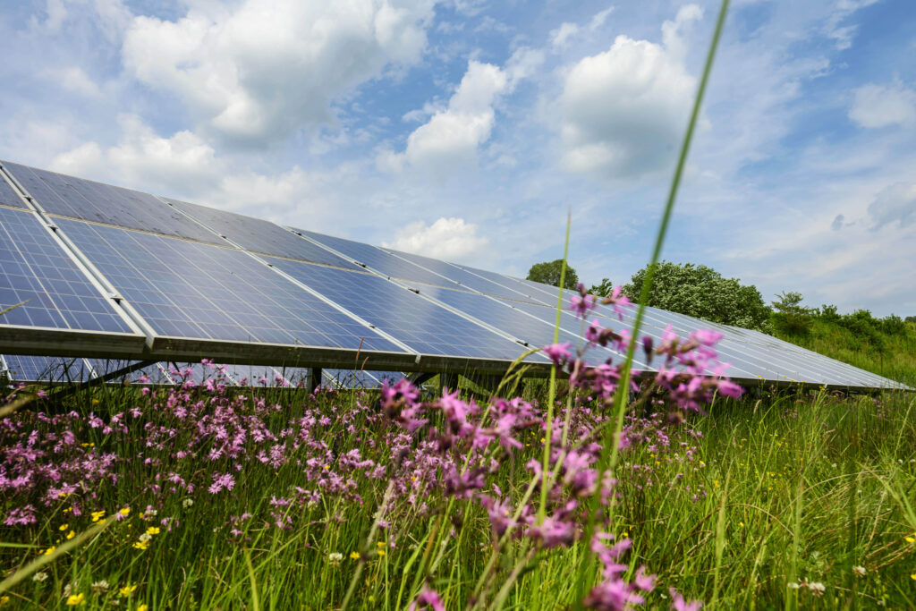 EnBW marks construction start of German PV site