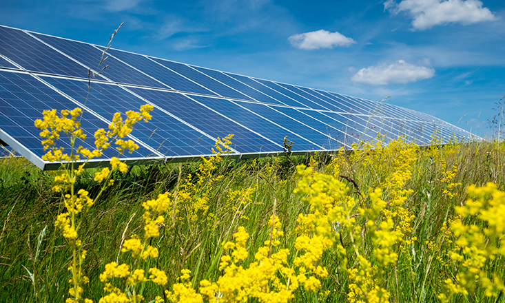 EDF, PS Renewables consult on 500MW solar farm EDF