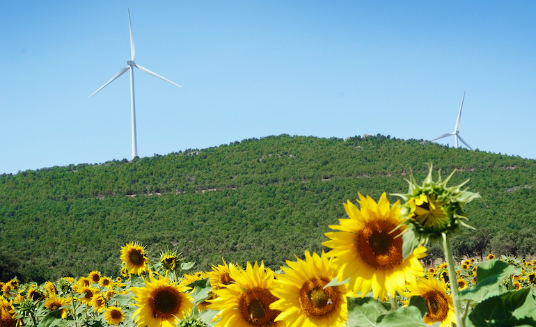Enel completes 51MW Spanish wind farm Enel completes 51MW Spanish wind farm